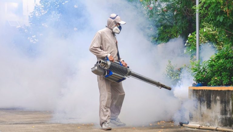 Dengue-virus, zorg in Toscane. Desinfectie begint