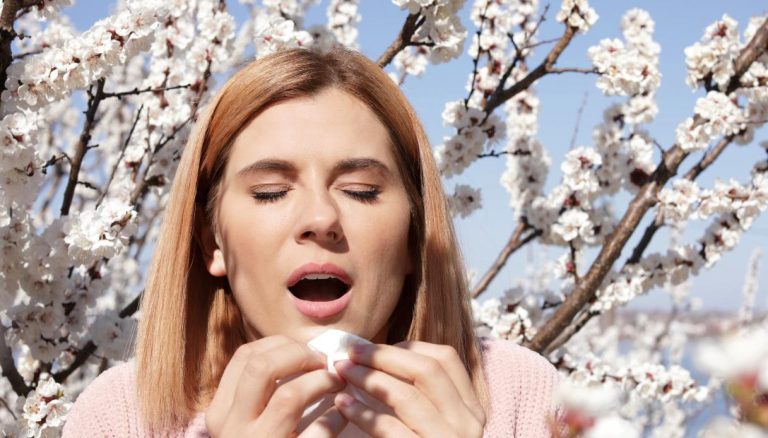 Natuurlijke remedies om allergieën voor pollen en mijten te bestrijden