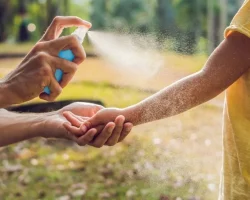 Nieuw geval van Dengue in Italië, desinfectie begint in Brescia. De risico’s, behandelingen en voorzorgsmaatregelen