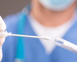 Hantavirus, wat het is, hoe het wordt opgelopen, welke ziekte het kan veroorzaken