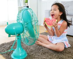 Prime Day 2026, draagbare airconditioners, ventilatoren en andere middelen in de aanbieding om een ​​koele en stressvrije zomer te beleven