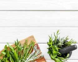 Zomerse aromatische kruiden: welke je moet kiezen en hoe je ze in de keuken kunt gebruiken om de smaken te versterken