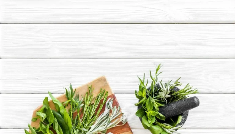 Zomerse aromatische kruiden: welke je moet kiezen en hoe je ze in de keuken kunt gebruiken om de smaken te versterken