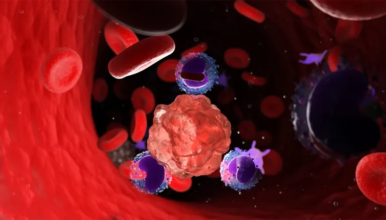 Acute leukemieën, waarom ze ‘opnieuw ontbranden’ na een beenmergtransplantatie en hoe we terugval kunnen verminderen