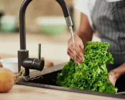 Hitte, Cyclospora-alarm in de VS: welke risico’s in Italië