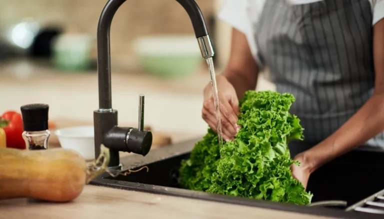 Hitte, Cyclospora-alarm in de VS: welke risico’s in Italië