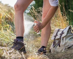 Tekenbeet, de delen van het lichaam die het meeste risico lopen en hoe u deze kunt beschermen