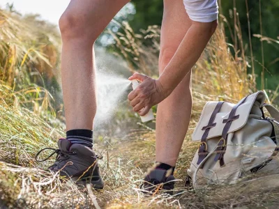 Tekenbeet, de delen van het lichaam die het meeste risico lopen en hoe u deze kunt beschermen