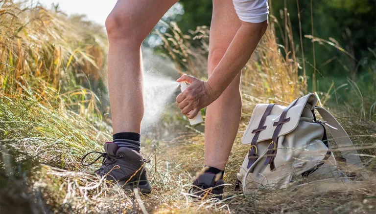 Tekenbeet, de delen van het lichaam die het meeste risico lopen en hoe u deze kunt beschermen