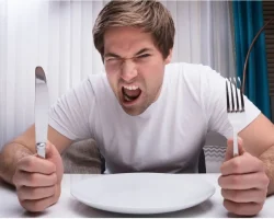 Honger en agressie, de ‘fout’ ligt bij een neuron. Wat de onderzoekers ontdekten