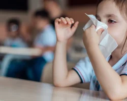Griep en schoolhervatting, hoe het deze winter zal zijn, vaccins en voorzorgsmaatregelen