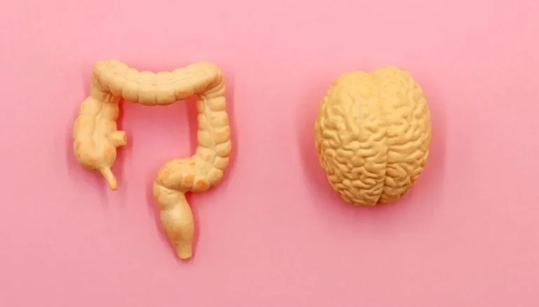 Alzheimer, de darmbacterie die kan bijdragen aan hersenbederf. De studie