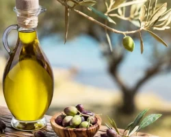 Eetbare olie is een effectief hulpmiddel tegen oxidatieve stress en hersenveroudering