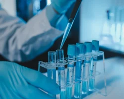 Het Shamonda-virus, wat het is, hoe het wordt overgedragen, wat u moet weten