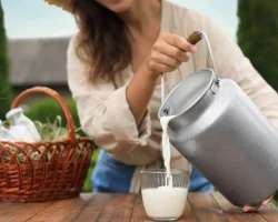 Rauwe melk en voedselveiligheid: laten we “ongepasteuriseerd” verduidelijken