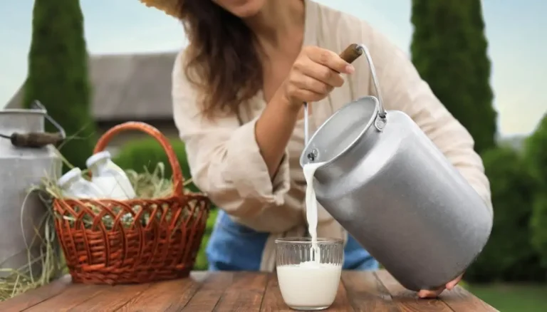 Rauwe melk en voedselveiligheid: laten we “ongepasteuriseerd” verduidelijken