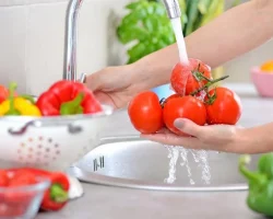 Salmonella in kerstomaatjes: tussen terugroepacties en angst in de keuken, is het wassen ervan echt genoeg? Advies van een voedingsdeskundige