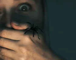 Tegen fobieën komt Peter, de “virtuele spin” die helpt angsten te overwinnen