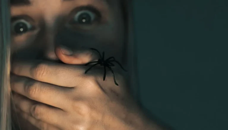 Tegen fobieën komt Peter, de “virtuele spin” die helpt angsten te overwinnen