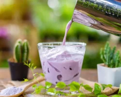 Ube latte, want paarse melk is de nieuwe wellnesstrend