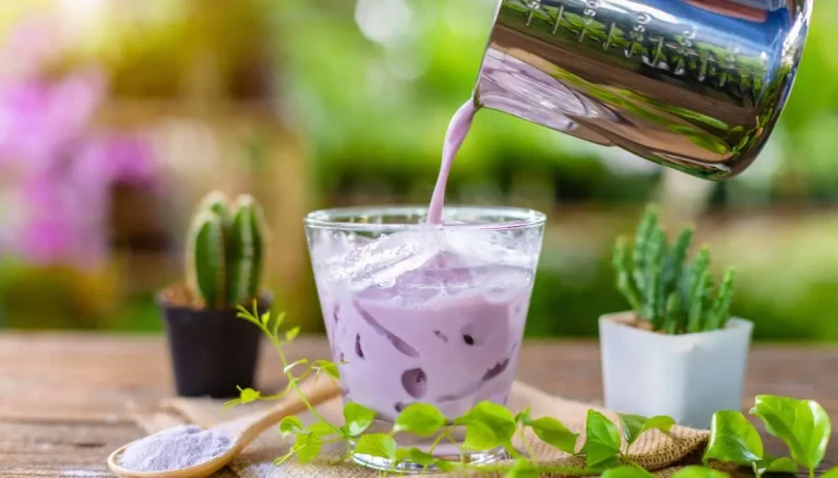Ube latte, want paarse melk is de nieuwe wellnesstrend
